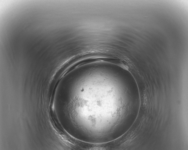 X0000061740444200512051004