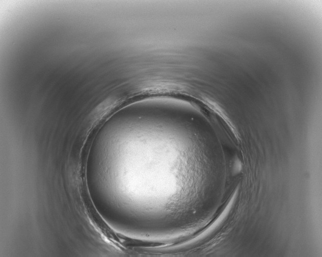 X0000061740485200512051004