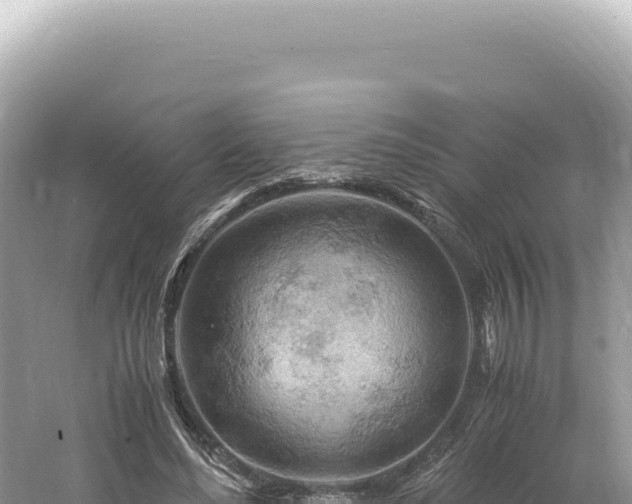 X0000061740492200512051004