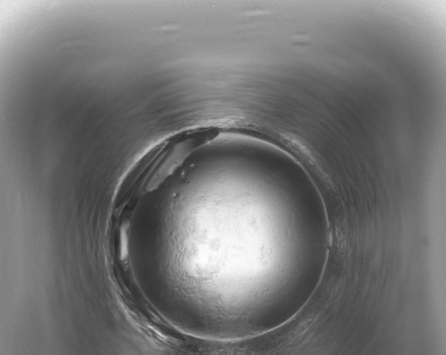 X0000061740532200512051003