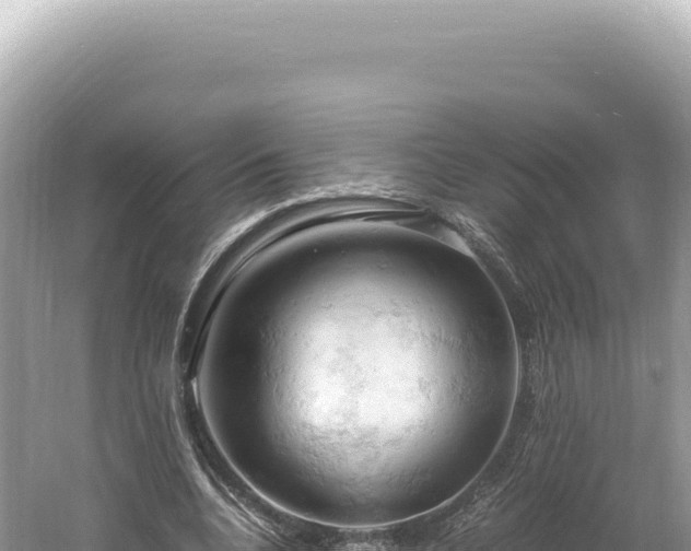 X0000061740536200512051003