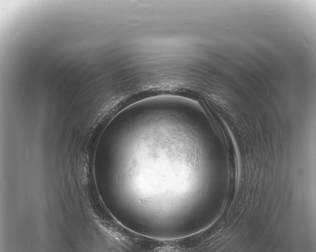 X0000061740544200512051003