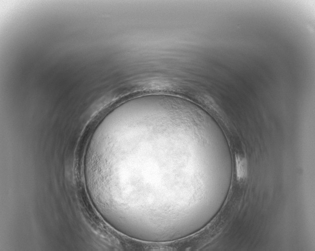 X0000061740579200512051002