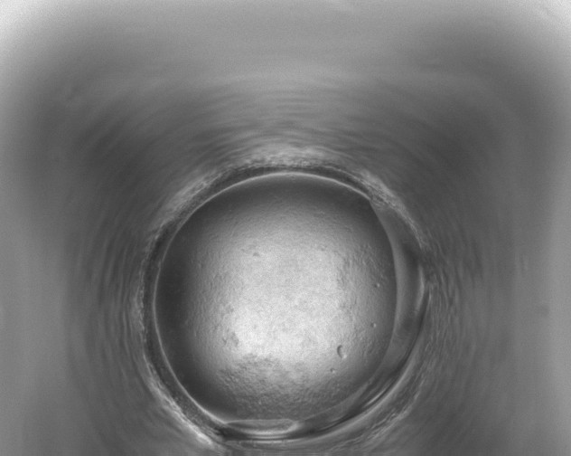 X0000061740581200512051002
