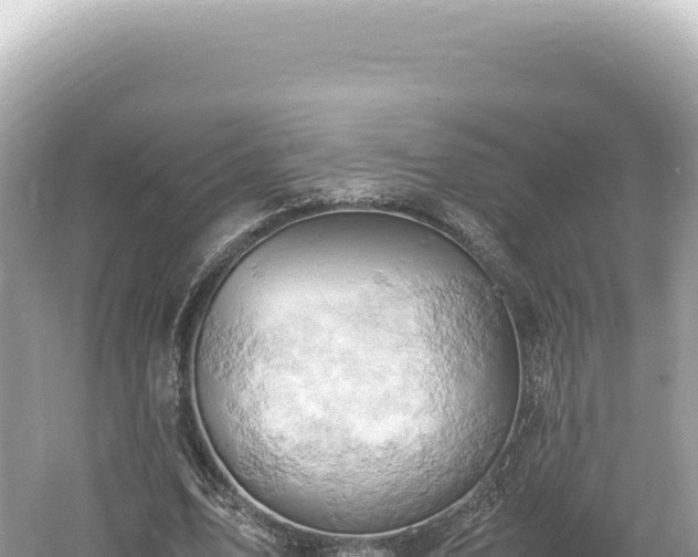 X0000061740583200512051002