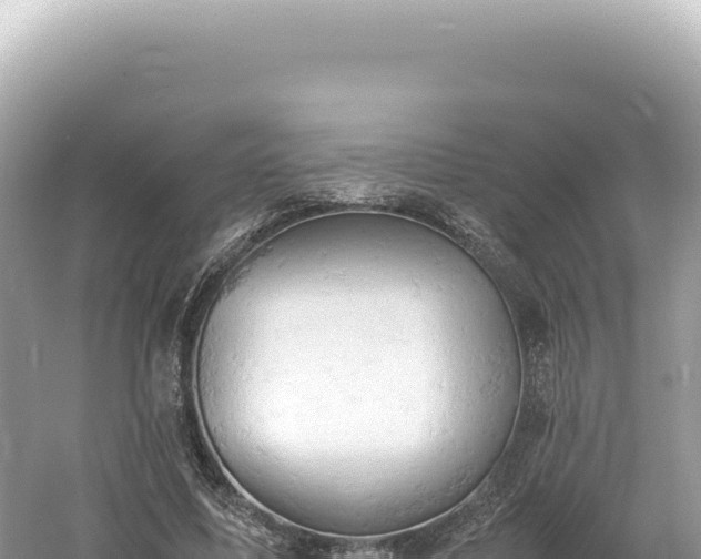 X0000061740587200512051002