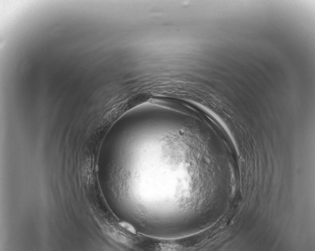 X0000061740605200512051002