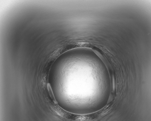 X0000061740611200512051002