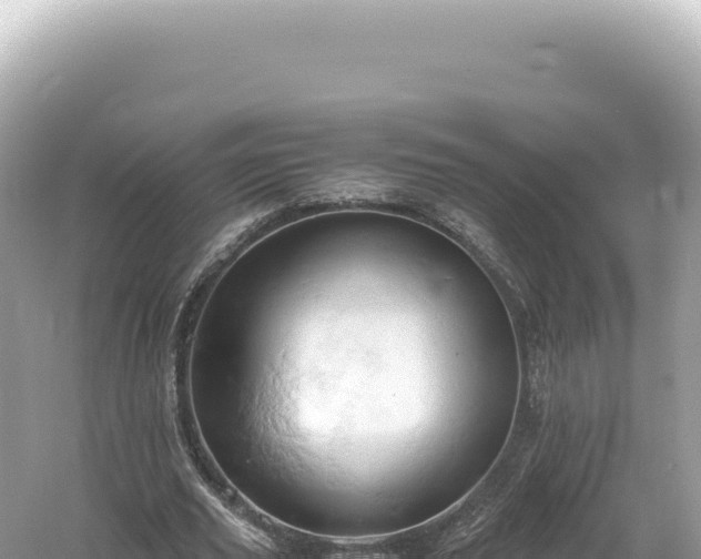X0000061740629200512051001