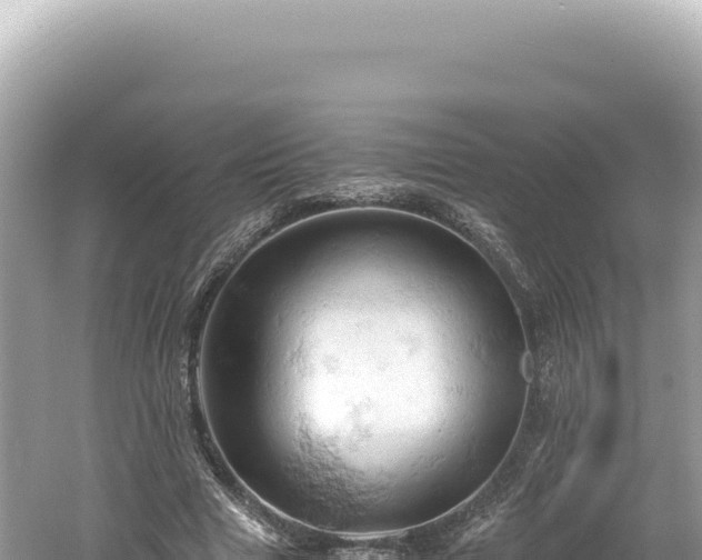 X0000061740633200512051001