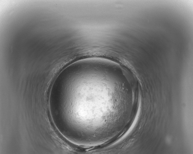 X0000061740673200512051001