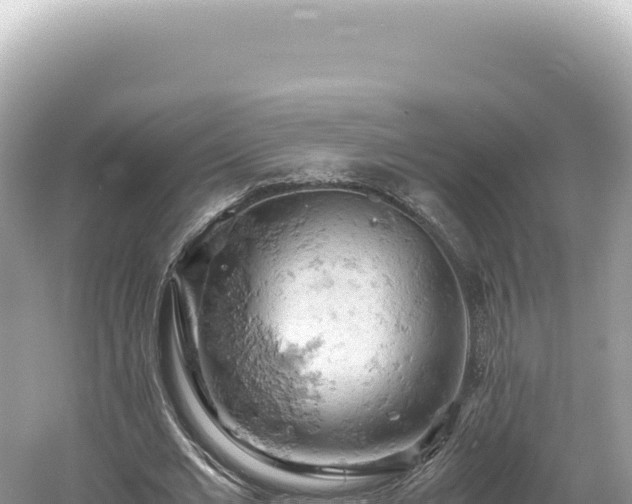X0000061740677200512051001