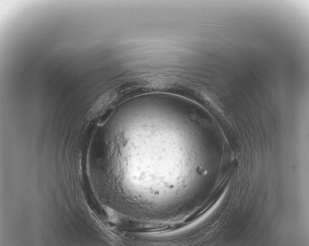 X0000061740685200512051001
