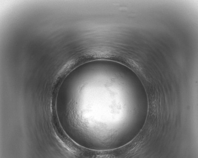 X0000061740686200512051001