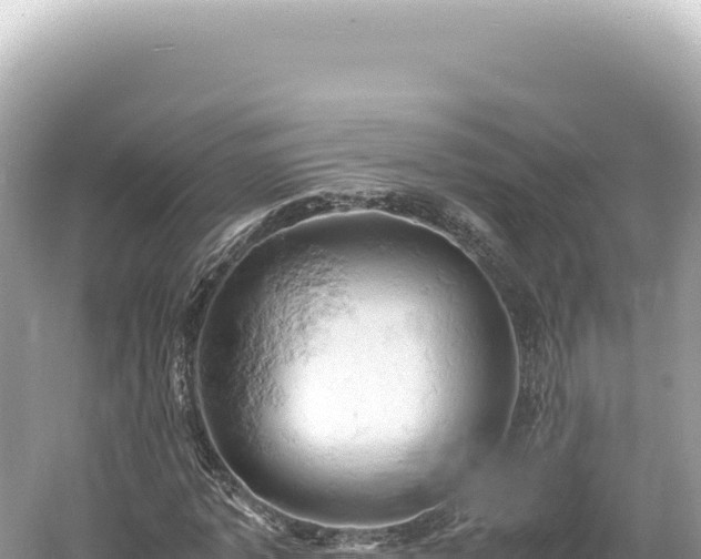 X0000061740773200512050959