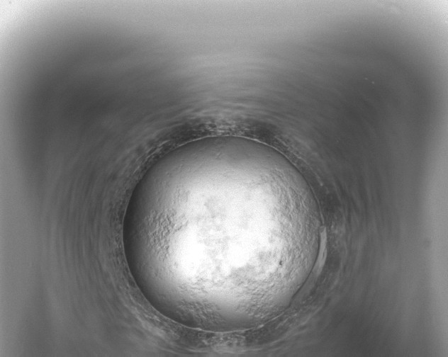 X0000061740865200512050958