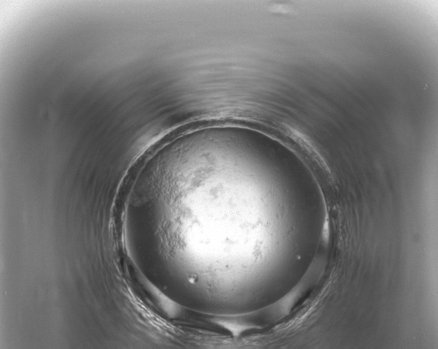 X0000061740876200512050957