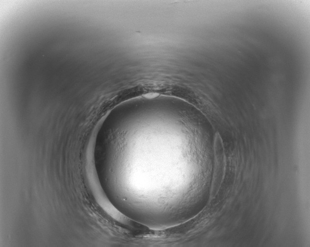 X0000061740961200512050956