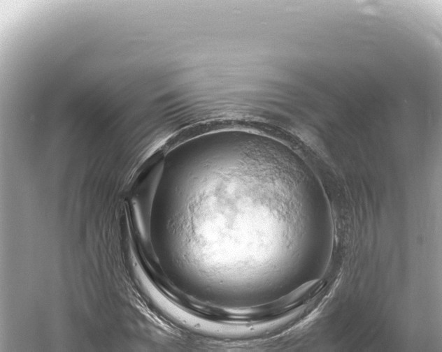 X0000061740969200512050956