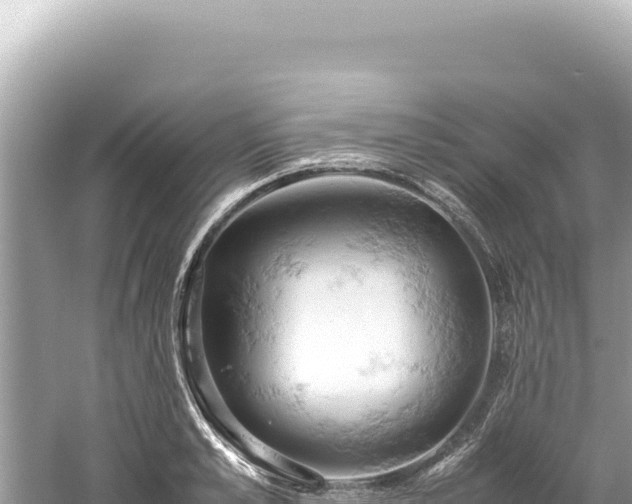 X0000061740989200512050955