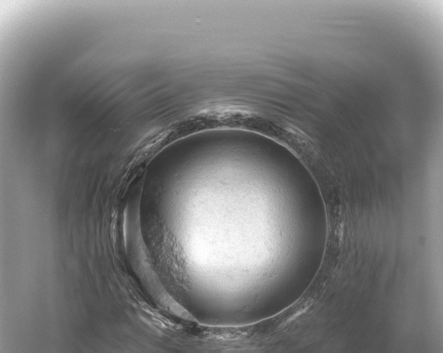 X0000061741014200512050954