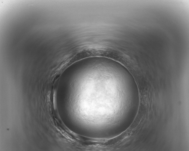 X0000061741061200512050954