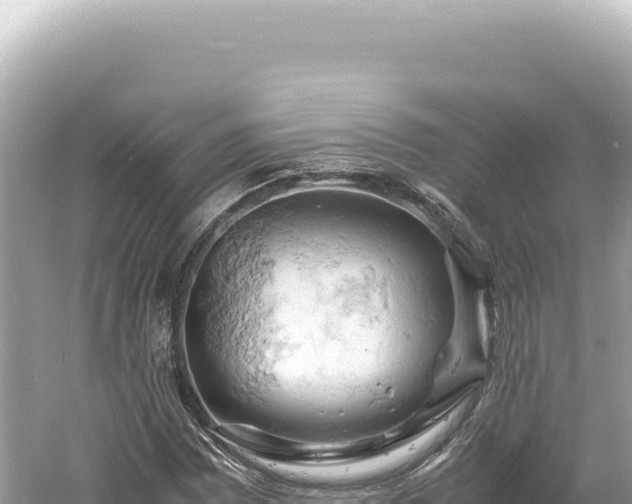 X0000061741065200512050954