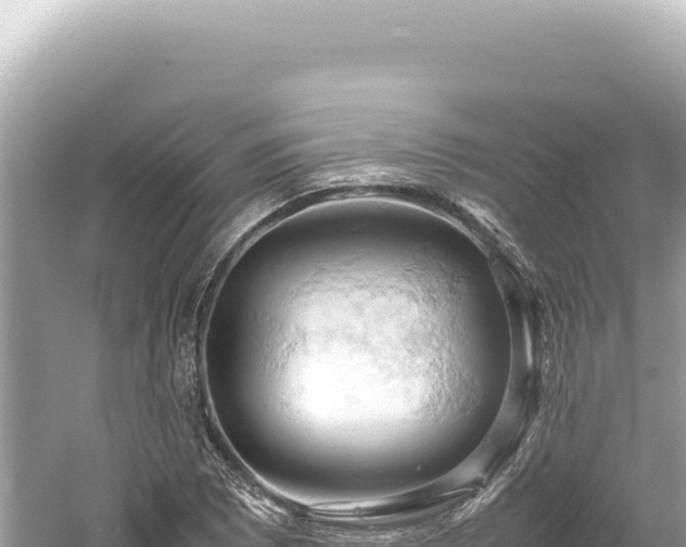 X0000061741073200512050954