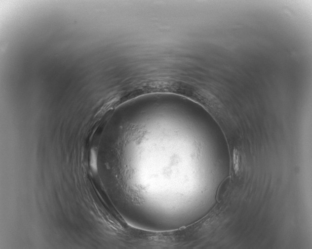 X0000061741107200512050953