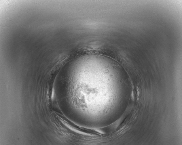 X0000061741156200512050952