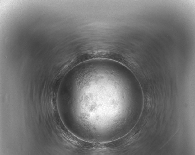 X0000061741250200512050951