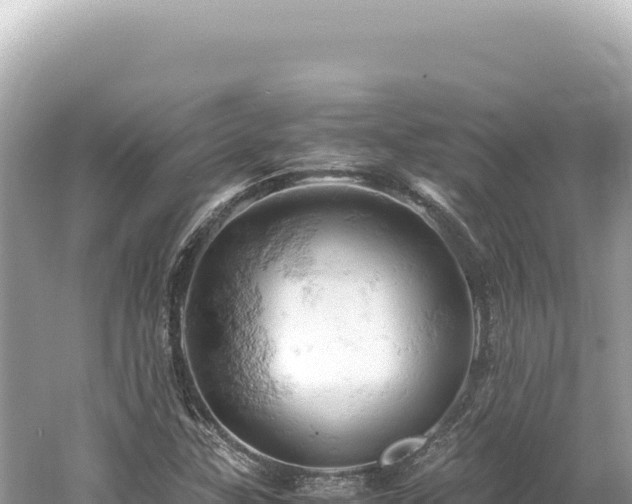 X0000061741307200512050949