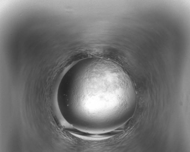 X0000061741345200512050949
