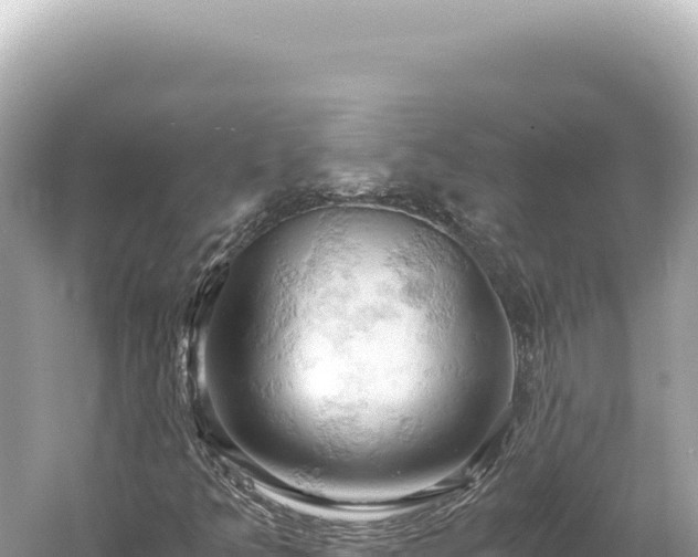 X0000061741349200512050949