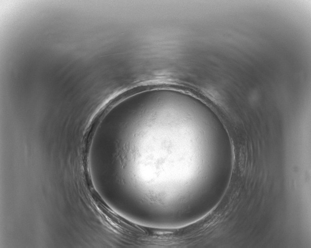 X0000061741356200512050949