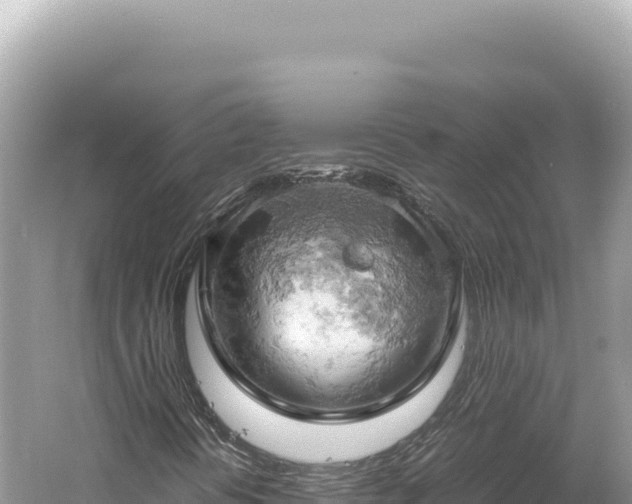 X0000061741394200512050948