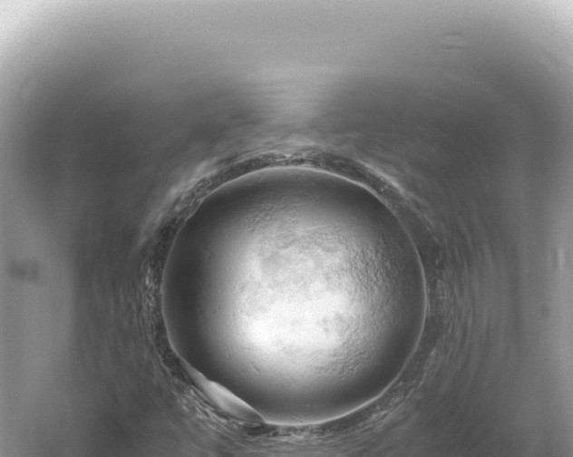 X0000061741447200512050947