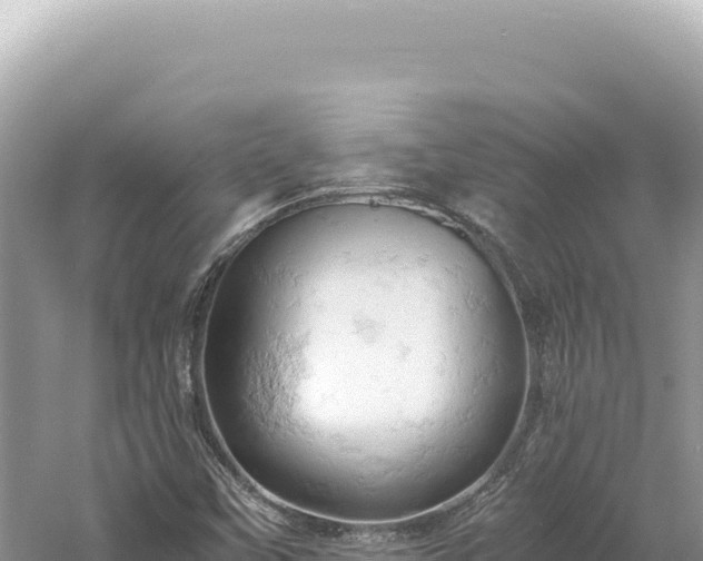 X0000061741451200512050947