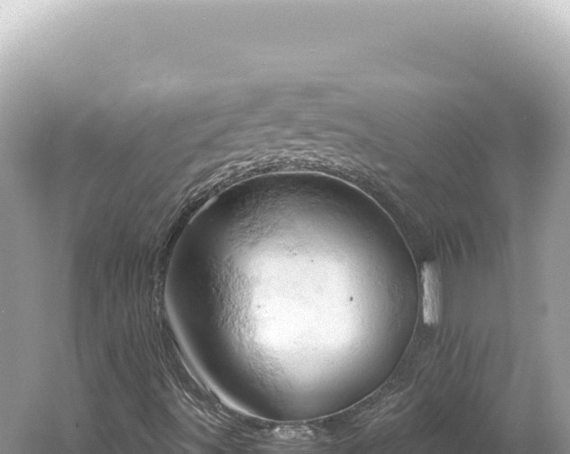 X0000061741491200512050946