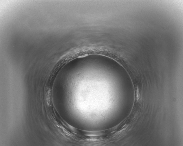 X0000061741492200512050946