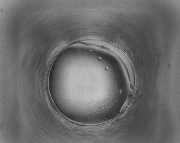 X0000061740001200512091622