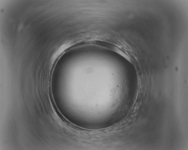 X0000061740003200512091622