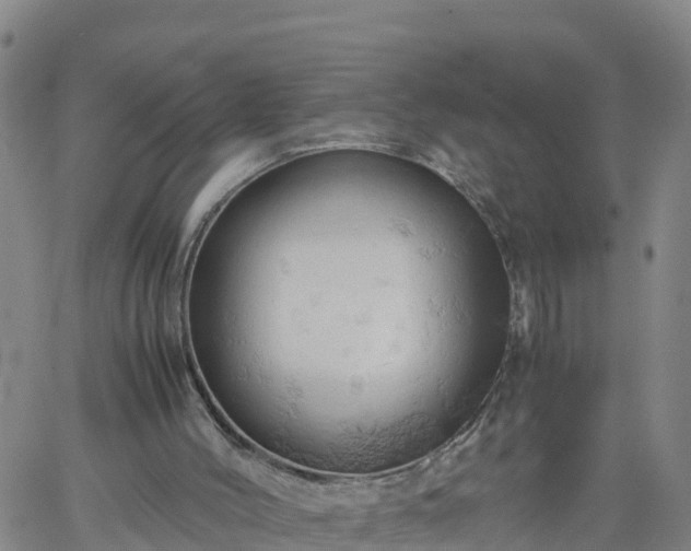 X0000061740004200512091622