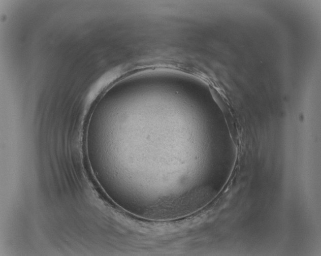 X0000061740006200512091622