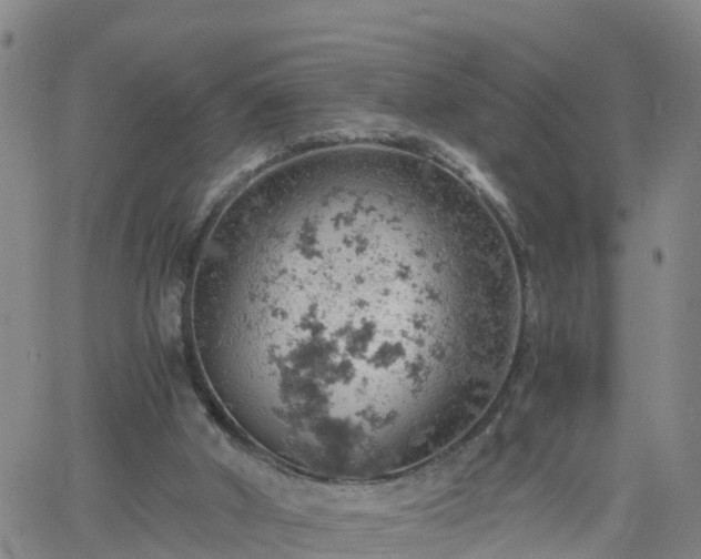 X0000061740010200512091622