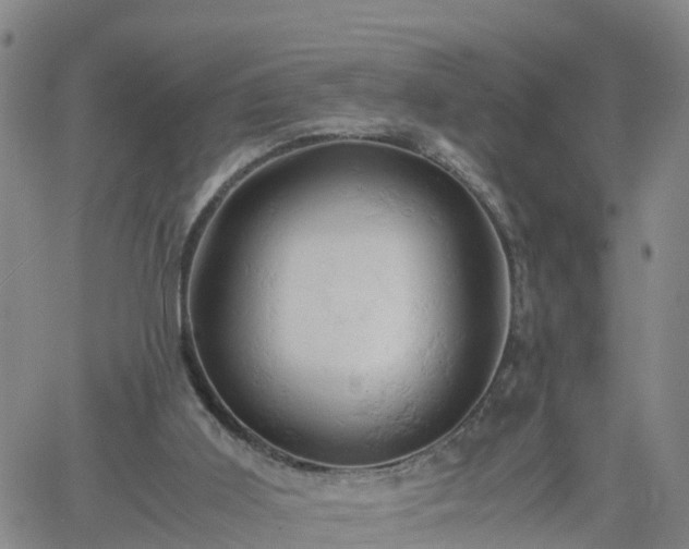 X0000061740011200512091622