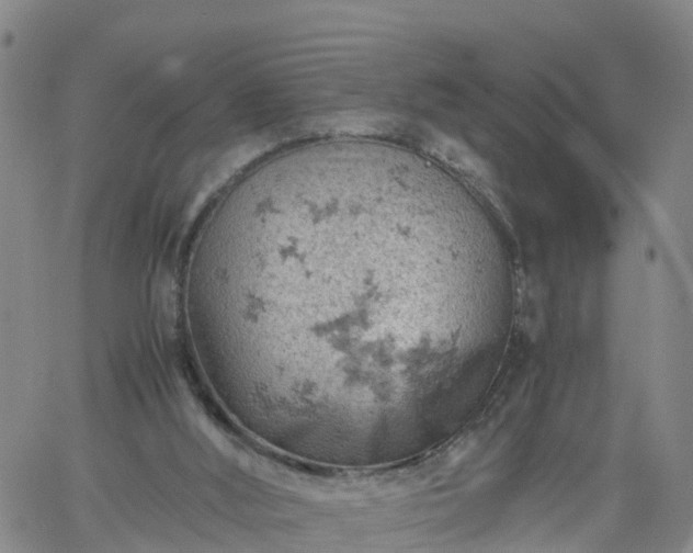 X0000061740012200512091622