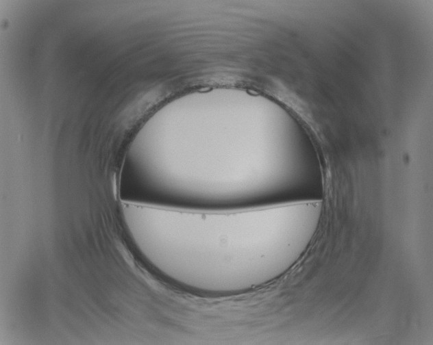 X0000061740013200512091622