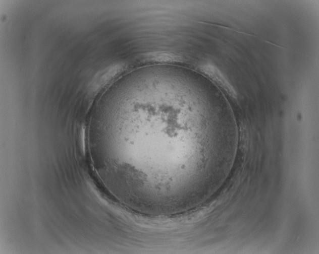 X0000061740014200512091622