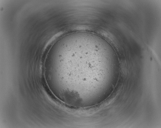 X0000061740016200512091622